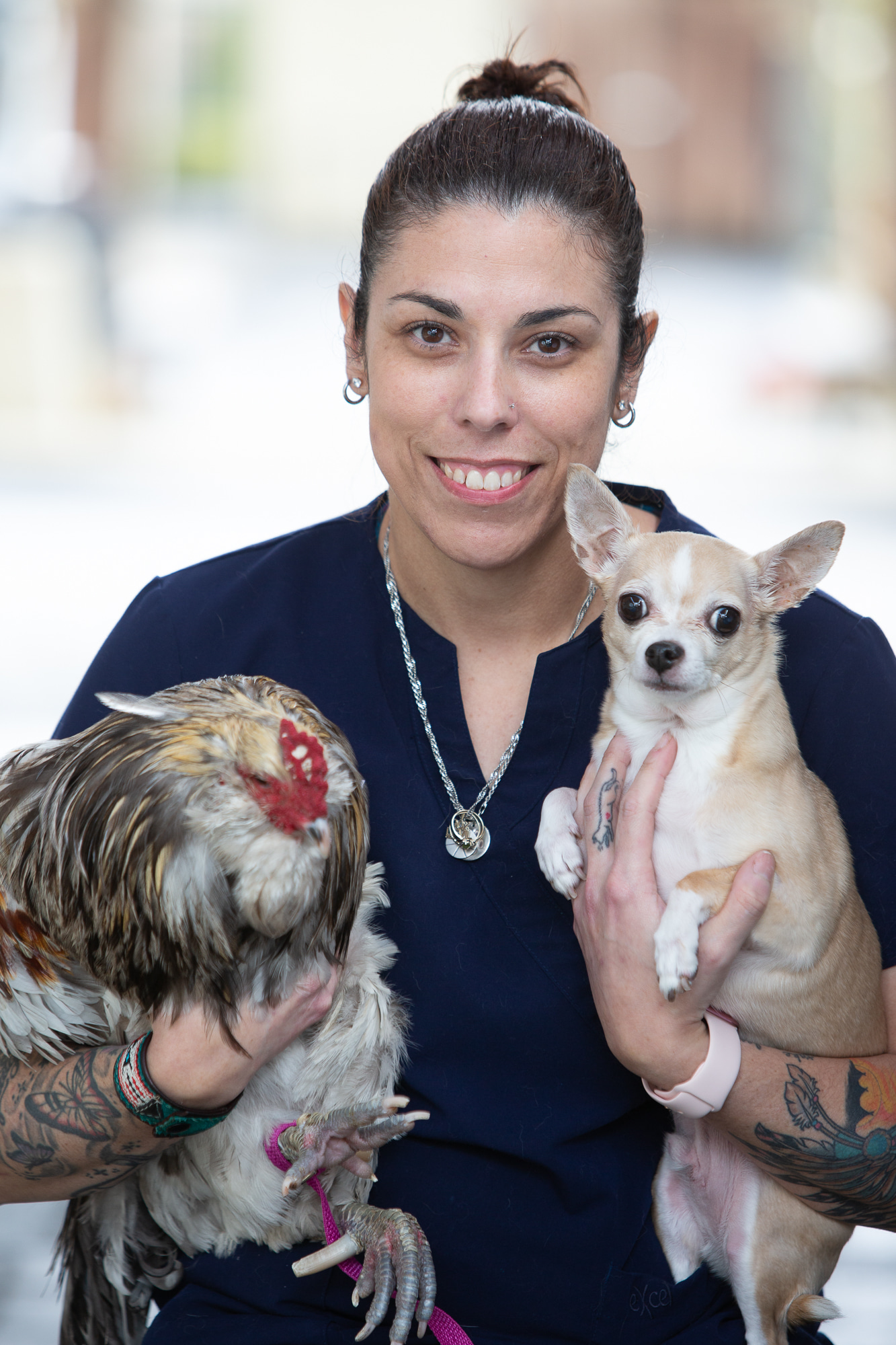 Tammy Castor – South Surrey Veterinary Hospital Tammy Castor – South Surrey Veterinary Hospital